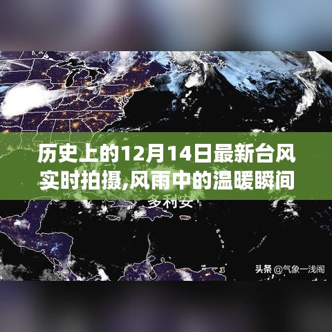 風雨中的溫暖瞬間，記錄特殊臺風下的故事——12月14日實時拍攝紀實