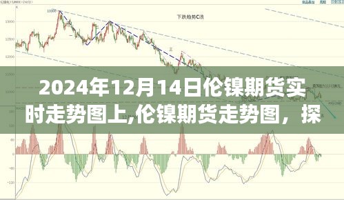 2024年12月14日倫鎳期貨實(shí)時(shí)走勢(shì)解析，波動(dòng)脈絡(luò)與影響因素探尋