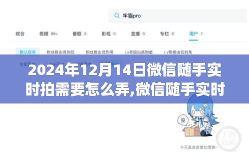 微信隨手實(shí)時拍功能使用指南（最新教程，適用于2024年12月）