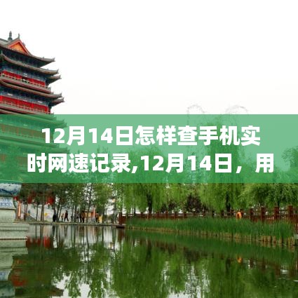 12月14日，掌中網(wǎng)速記錄下的自然美景探索之旅