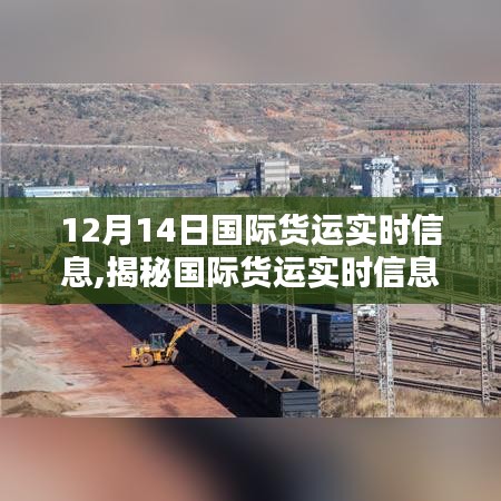 12月14日國際貨運實時解析，全球物流動態(tài)揭秘與洞悉之路