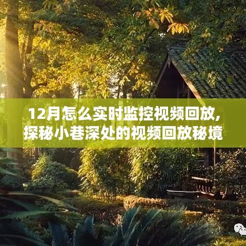 探秘小巷深處的視頻回放秘境，揭秘十二月實時監(jiān)控新體驗
