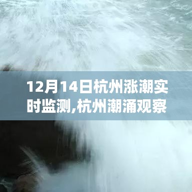 揭秘杭州潮涌背后的故事，十二月十四日漲潮實(shí)時監(jiān)測觀察報告