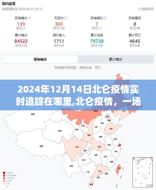 北侖疫情追蹤，透明管理與時(shí)代記憶交匯的歷程（2024年實(shí)時(shí)更新）