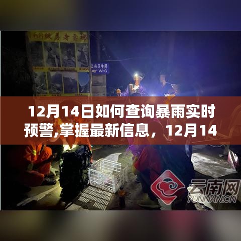 12月14日暴雨實(shí)時(shí)預(yù)警查詢攻略，掌握最新信息，安全度過雨季
