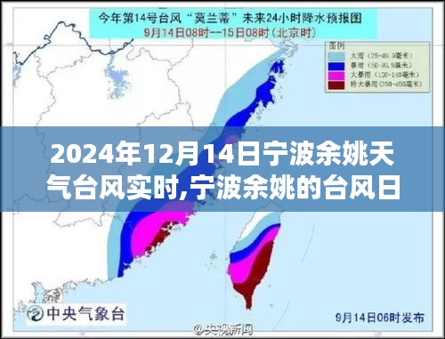 寧波余姚臺(tái)風(fēng)日，愛與陪伴的力量及實(shí)時(shí)天氣更新