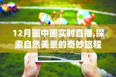 十二月畫中畫實時直播，探尋自然美景的奇幻之旅