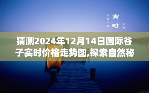探索自然秘境，預(yù)見谷子未來，心靈之旅與谷價走勢圖展望（2024年12月）
