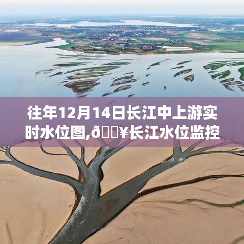 揭秘長江中上游水位動態(tài)，智能實(shí)時(shí)水位圖系統(tǒng)監(jiān)控新星，展示往年12月14日水位圖