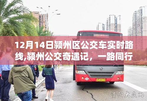 潁州公交奇遇記，冬日同行，公交路線的溫暖時光 12月14日實時更新