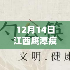 江西鷹潭疫情實時地圖，科技守護家園的精準防線（12月14日更新）