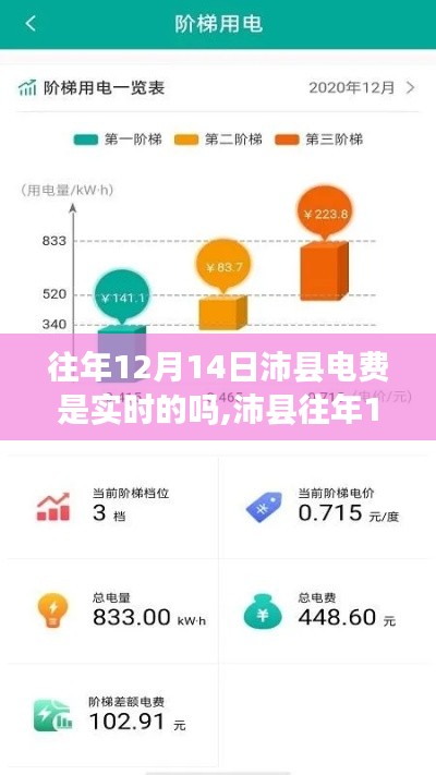 沛縣往年12月14日電費(fèi)實(shí)時(shí)性深度解析，特性、體驗(yàn)與競(jìng)品對(duì)比