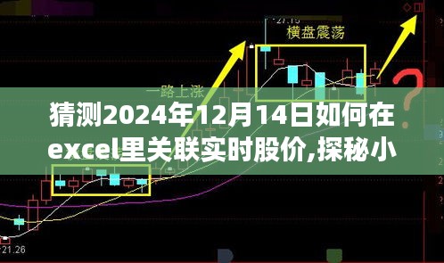 探秘Excel實(shí)時股價鏈接指南，如何關(guān)聯(lián)股市數(shù)據(jù)寶藏，2024年股市數(shù)據(jù)實(shí)時更新教程
