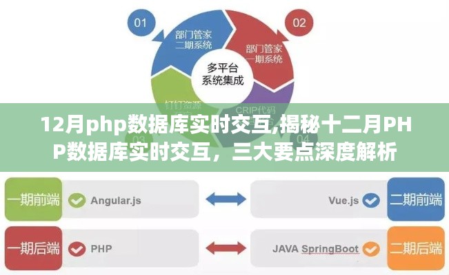 揭秘十二月PHP數(shù)據(jù)庫實(shí)時(shí)交互深度解析，三大要點(diǎn)一網(wǎng)打盡