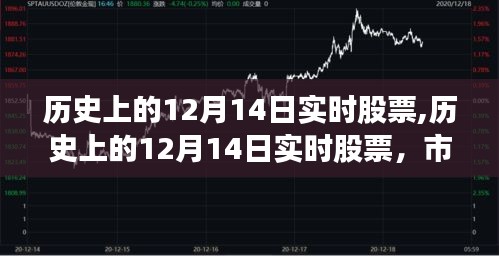 歷史上的12月14日實(shí)時(shí)股票解析，市場風(fēng)云三大看點(diǎn)揭秘