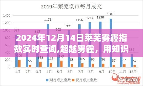 建議，超越霧霾，知識照亮未來——萊蕪霧霾中的勵志故事（實時霧霾指數(shù)查詢）
