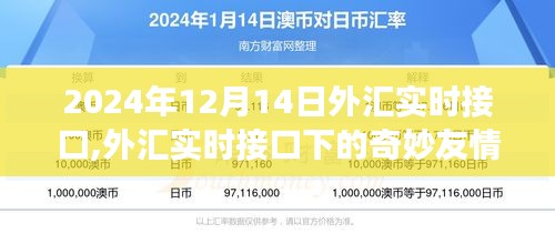 外匯實(shí)時(shí)接口下的友情故事，溫馨時(shí)光在2024年12月14日