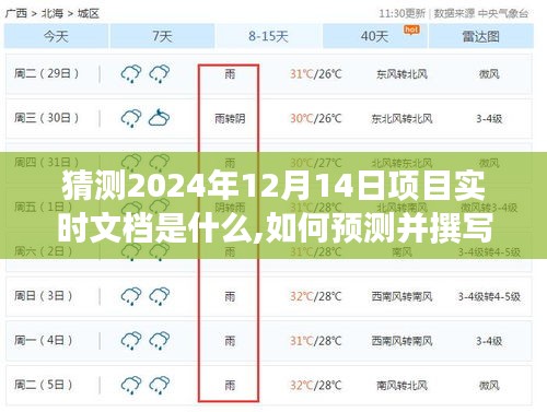 如何預(yù)測(cè)并撰寫未來(lái)項(xiàng)目實(shí)時(shí)文檔，以猜測(cè)2024年12月14日為例的詳細(xì)指南與策略分析