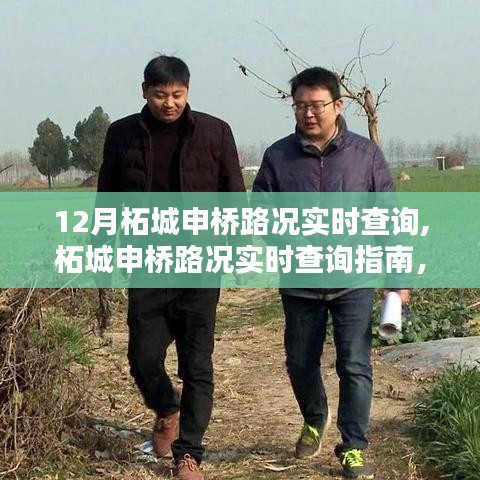 12月柘城申橋路況實(shí)時(shí)查詢指南，出行必備技能