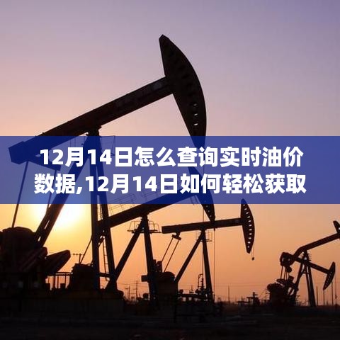 12月14日實時油價數(shù)據(jù)查詢指南，輕松獲取最新油價信息
