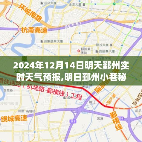 明日鄞州小巷秘境，天氣預(yù)報(bào)與美食的雙重驚喜（2024年12月14日）