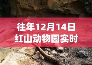 定謀貴決 第4頁