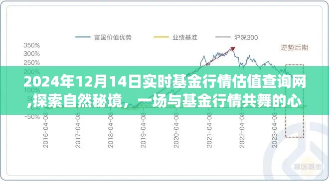 探索自然秘境的心靈之旅，實(shí)時(shí)基金行情估值查詢網(wǎng)，2024年12月14日