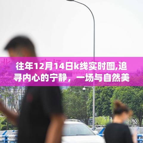 往年12月14日K線圖下的心靈之旅，與自然美景的奇妙邂逅