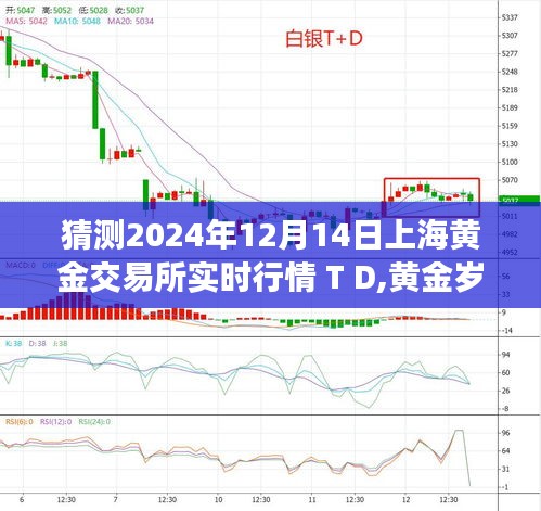 揭秘上海黃金交易所行情，黃金歲月與一家人的日常
