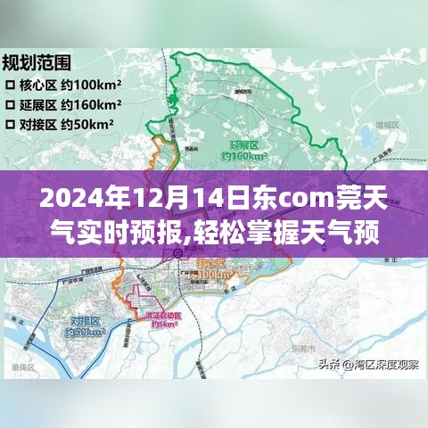 2024年12月14日東莞天氣預(yù)報，如何獲取并解讀實(shí)時天氣信息