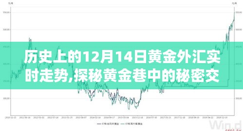 探秘黃金巷，歷史上的黃金外匯走勢與特色小店獨特魅力揭秘的實時走勢分析