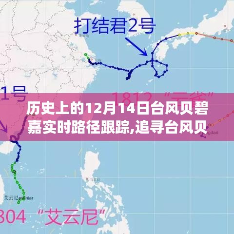 追尋臺(tái)風(fēng)貝碧嘉的腳步，歷史軌跡下的心靈與自然美景之旅