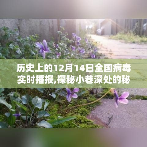 探秘歷史十二月十四日全國病毒播報(bào)與獨(dú)特小店的奇緣日