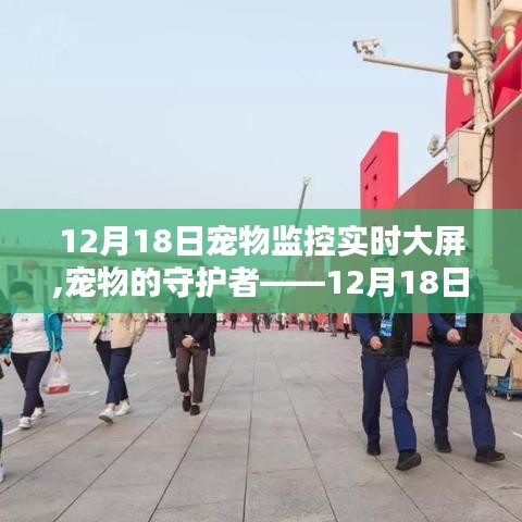 寵物監(jiān)控實時大屏深度評測與介紹，守護寵物的守護者