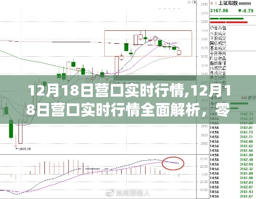 12月18日營口實(shí)時(shí)行情全面解析及交易策略入門指南