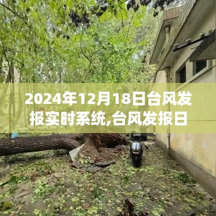 臺風(fēng)發(fā)報實時系統(tǒng)與風(fēng)的奇妙約會，探索自然美景之旅（2024年12月18日）