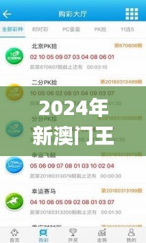 2024年新澳門王中王開獎結(jié)果,高度協(xié)調(diào)策略執(zhí)行_Prime3.913