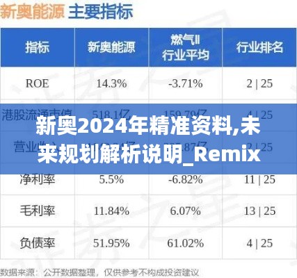 新奧2024年精準(zhǔn)資料,未來規(guī)劃解析說明_RemixOS7.815
