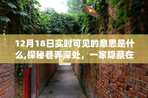 揭秘十二月十八日巷弄深處的特色小店，實(shí)時可見的獨(dú)特魅力探索