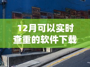 探秘小巷深處的查重寶藏，實時查重軟件下載指南（12月版）