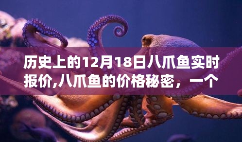 揭秘八爪魚(yú)價(jià)格秘密，溫馨十二月十八日故事與實(shí)時(shí)報(bào)價(jià)