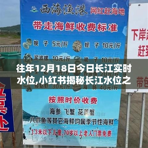 揭秘長江水位之謎，歷年12月18日長江實時水位深度解析與小紅書分享的水位數(shù)據(jù)回顧