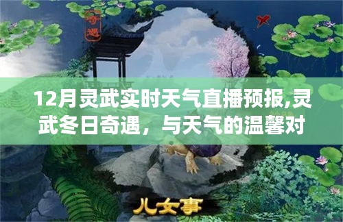 靈武冬日奇遇，實(shí)時(shí)天氣直播與朋友的深厚情誼體驗(yàn)