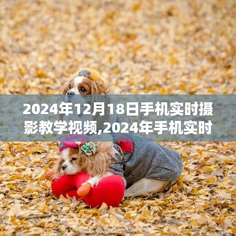 掌握攝影技巧，手機(jī)實(shí)時(shí)攝影教學(xué)視頻，記錄生活之美（2024年最新版）