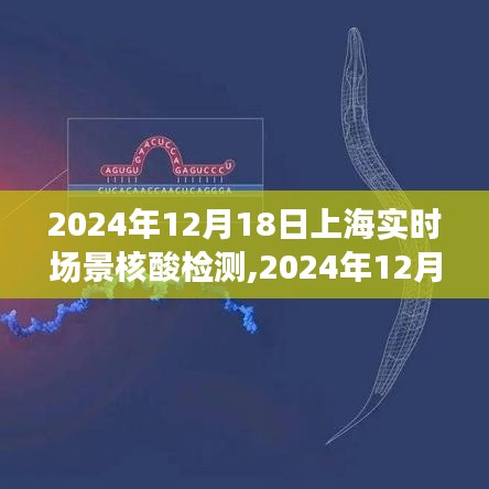 上海實(shí)時(shí)場(chǎng)景核酸檢測(cè)，前沿技術(shù)助力城市防控的新篇章（2024年12月18日）