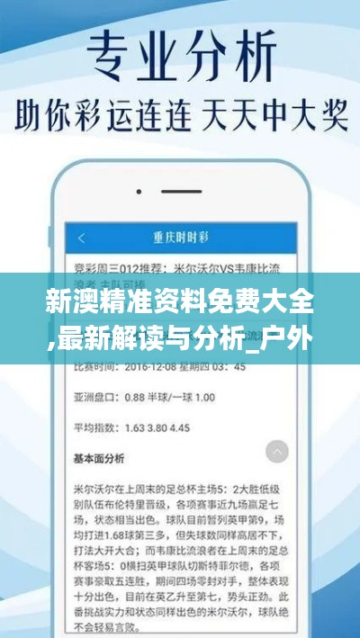 新澳精準(zhǔn)資料免費大全,最新解讀與分析_戶外版4.537