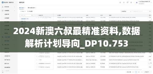 2024新澳六叔最精準資料,數(shù)據(jù)解析計劃導向_DP10.753