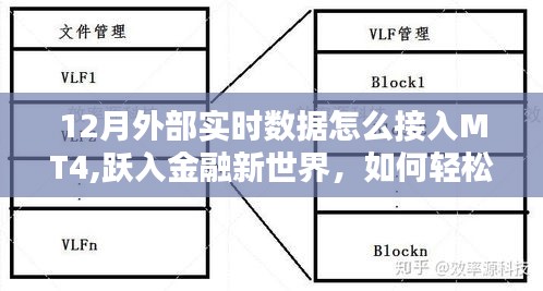 金融新世界探索，十二月MT4實(shí)時數(shù)據(jù)接入方法與策略