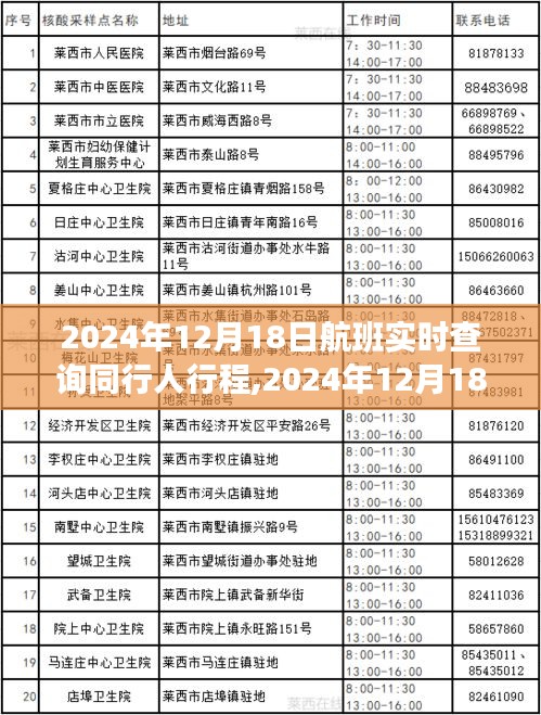 2024年12月18日航班同行人實時查詢，追蹤時代旅程的便捷工具