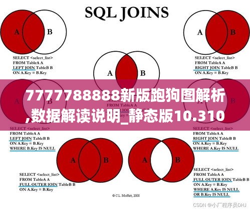 7777788888新版跑狗圖解析,數(shù)據(jù)解讀說(shuō)明_靜態(tài)版10.310